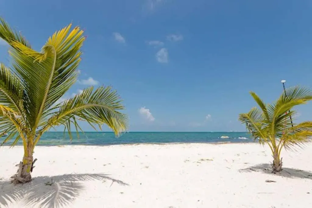 Amara Cancun Beachfront Caribe R Apartment