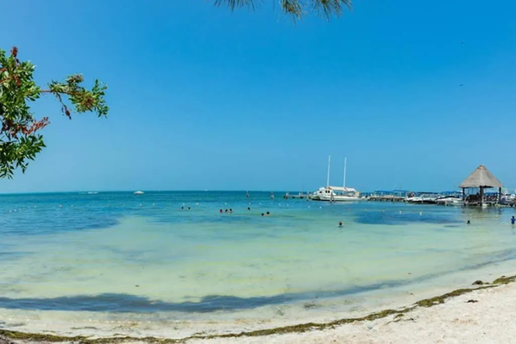 Amara Cancun Beachfront Caribe R Apartment