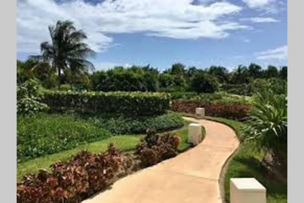 Amara Cancun Beachfront Caribe R Apartment