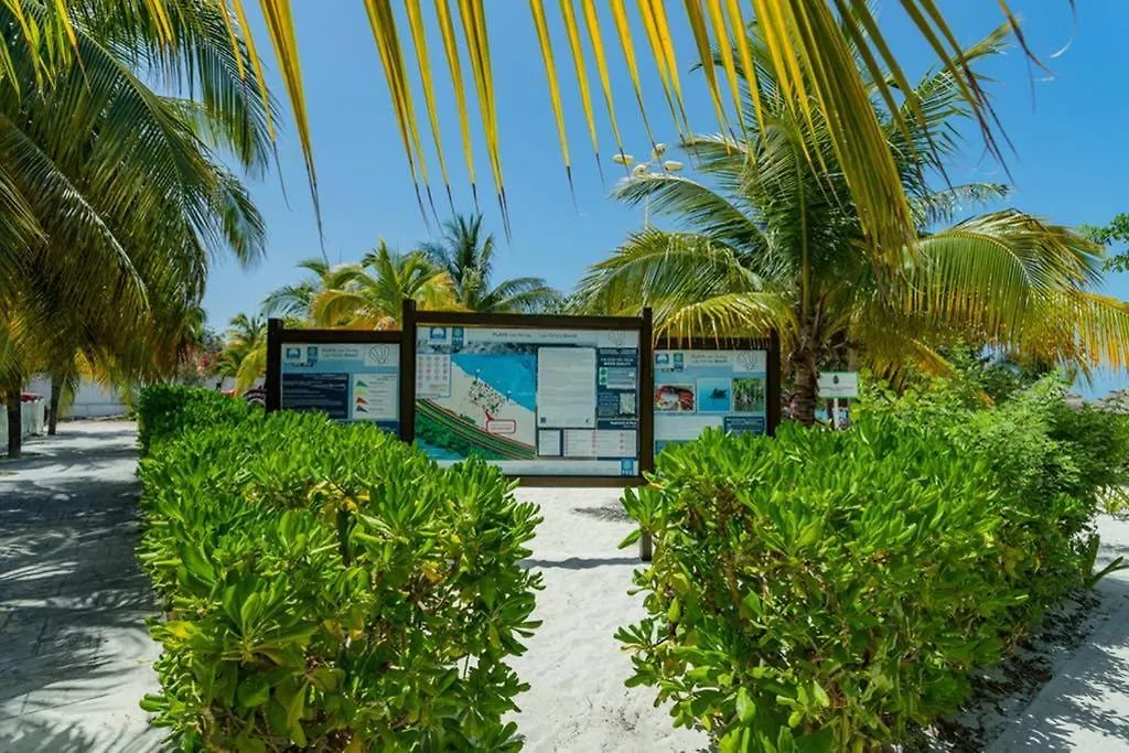 Amara Cancun Beachfront Caribe R Apartment 0*,